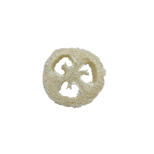 Rodaja de luffa